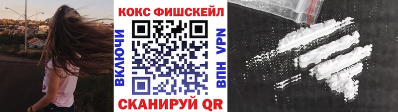 КОКАИН FishScale  продажа наркотиков  Аргун 