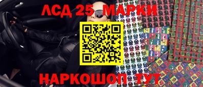 СК Ярославль