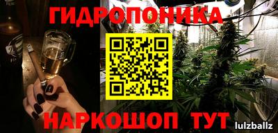 СК Ярославль