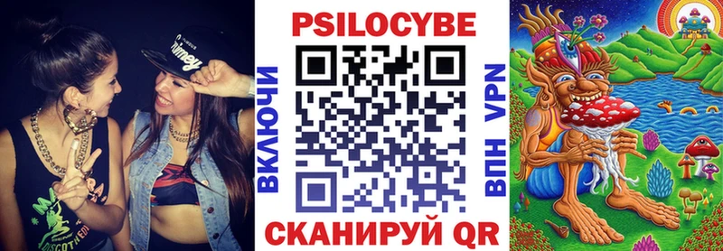 Галлюциногенные грибы Cubensis  блэк спрут ссылка  Аргун  как найти закладки 