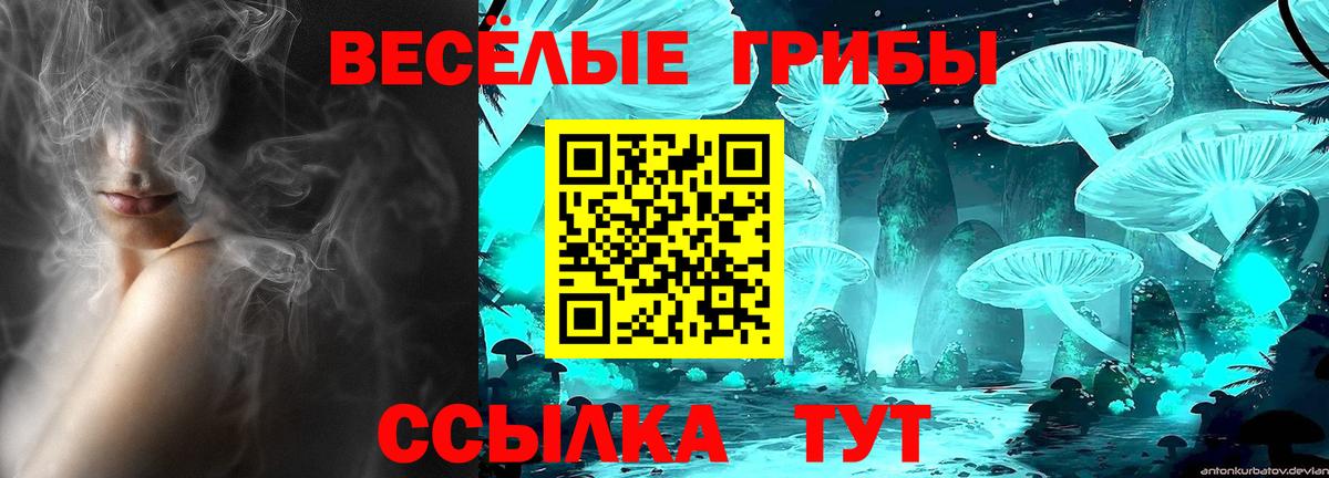 Псилоцибиновые грибы MAGIC MUSHROOMS  Вход с VPN  Аргун  Галлюциногенные грибы MAGIC MUSHROOMS 